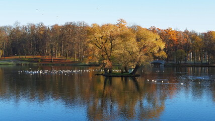 Historical monument. Autumn park, lakes and trees. State Museum-Reserve Gatchina. Leningrad region, Russia.