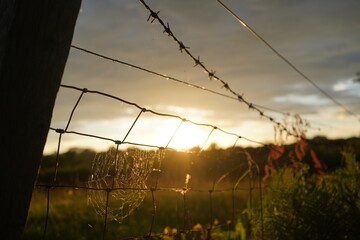 great view and spider web at sunset