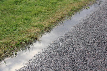 puddle between wet asphalt and grass
