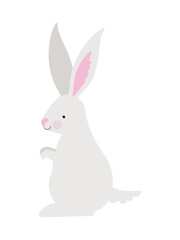 happy bunny design