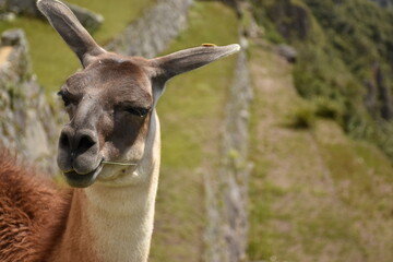 Moving around the world