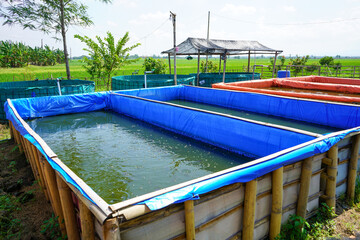 Raising and cultivating fish by using fish ponds made of round or circular tarpaulins that can...