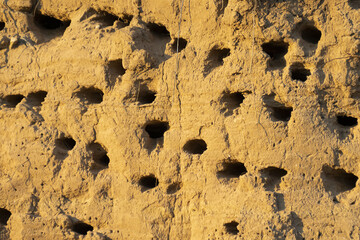 Swallows' nests in the sheer mountain