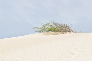 Viana-Wüste auf Boa Vista Kapverdische Inseln