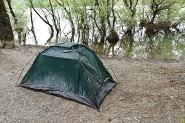 tent in the forest