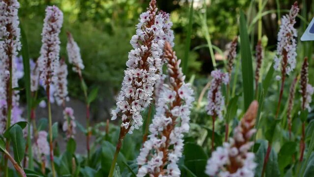 รูปภาพAffine เลือกดูภาพถ่ายสต็อก เวกเตอร์ และวิดีโอ753 Adobe Stock