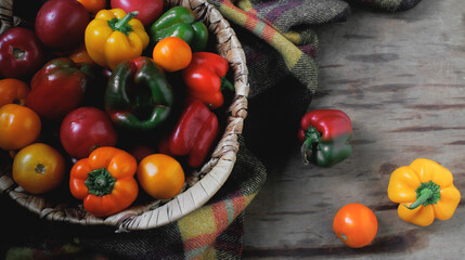 Green, red and yellow pepper and tomatoes