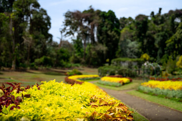 Sri Lanka Beauty