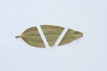 paper with a leaf