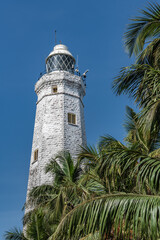 Palm trees at the walls of the high lighthouse