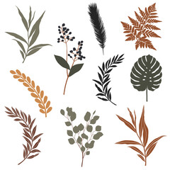 Set of vector plants in boho colors