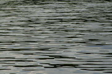 ripples in water, water surface background	
