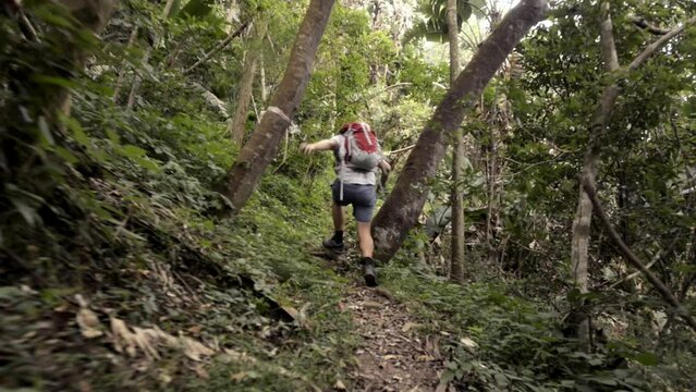 4k video footage of a man hiking through a forest