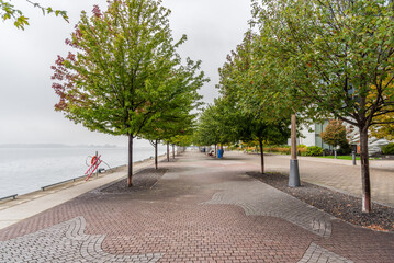 Tree lined waterfront path on a foggy autumn day. Toronto, ON, Canada. - obrazy, fototapety, plakaty