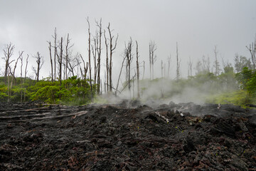 Lava field that buried the homes of the Leilani Estates during the volcanic eruption of the Fissure...