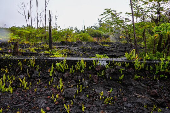Lava field that buried the homes of the Leilani Estates during the volcanic eruption of the Fissure 8 in 2018 in the southeast of Big Island in Hawaii, USA - Natural disaster near Hilo