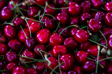 ripe cherries, ripe red cherries with sticks background