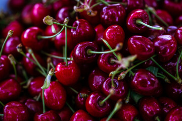 ripe cherries, ripe red cherries with sticks background