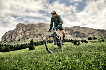Mountain bike riders through the meadow