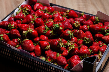 Juicy, ripe strawberries with twigs are laid out in a box for transportation. Copy Space.