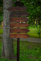 Wooden signage in the forest for direction