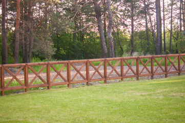 beautiful summer landscape. Trees in the forest and natural background for relaxation and recreation in nature.