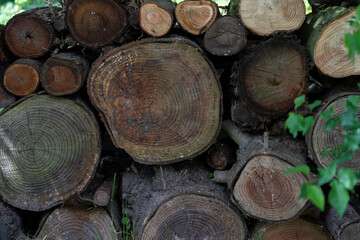wood logs