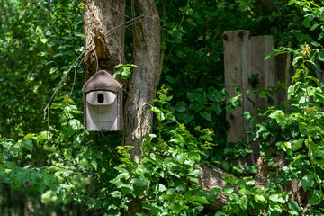 bird house in the garden