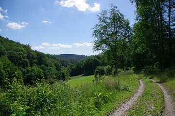 Landschaft Rheingau-Taunus-Kreis