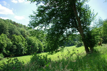 Obraz premium Landschaft Rheingau-Taunus-Kreis