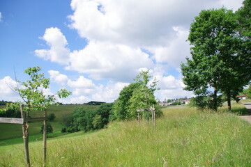 Landschaft im Rheingau