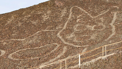 Cat petrogliph nazca line - Nazca Peru