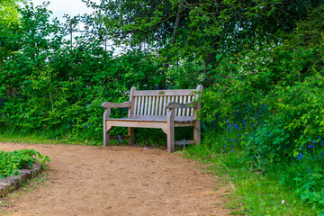 park bench surrounded by greenery
