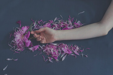 Fototapety na wymiar - Fototapeta24.pl