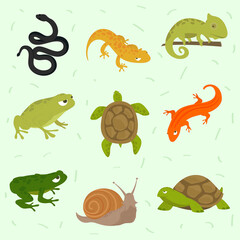 icons set reptiles and amphibian