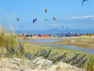Kitesurfing beach gathering. Tarifa