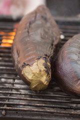 grilled eggplant on the grill