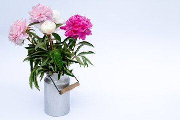 Fototapeta premium Vase with beautiful peony flowers on the white.Pink Angel Cheeks peonies in a metal milk vase. Beautiful peony flower for catalog or online store. Floral shop concept .Beautiful fresh cut bouquet.