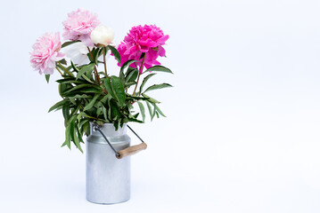 Vase with beautiful peony flowers on the white.Pink Angel Cheeks peonies in a metal milk vase. Beautiful peony flower for catalog or online store. Floral shop concept .Beautiful fresh cut bouquet.