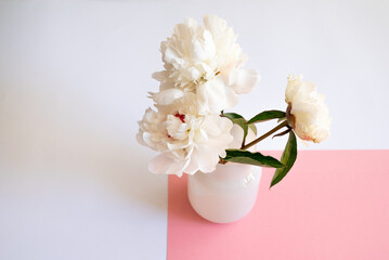 Obraz na płótnie Canvas Stylish white peony flowers on pink background. Woman working table. Top view, flat lay, copy space. White peonies bouquet. Top view feminine background. Spring summer background