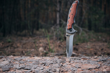 Tactical knife for survival and protection difficult conditions stuck into trunk tree in forest.