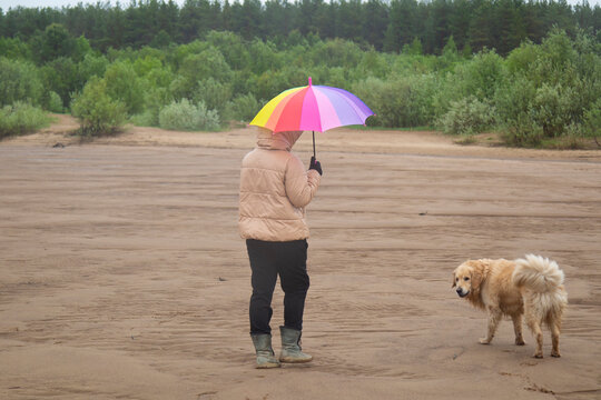 A Woman With A Dog And A Colorful Umbrella Outside In The Rain.