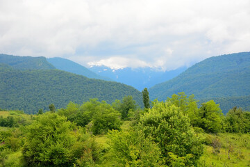 Obraz premium Alpine meadows, foggy mountains at Abkhazia (Kodori Gorge)