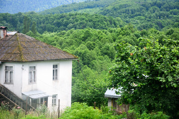 Fototapeta na wymiar Overgrown ruins of abandoned mansion, Abkhazia