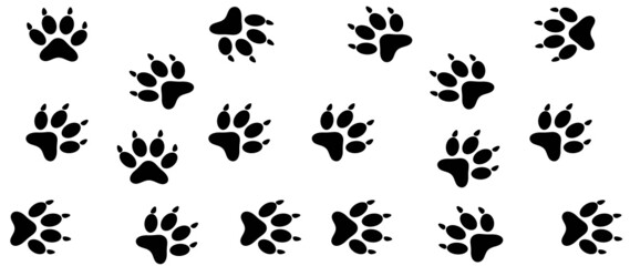 giraffe birthday number svg, cute animal birthday, Giraffe SVG, Cute baby giraffe SVG, cute animals svg, Zoo, Shirt, birthday Kid svg png
giraffe one 1st birthday svg, giraffe two 2nd birthday svg, gi