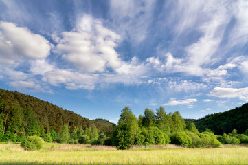 Trees under a beautiful sky in the Spiesswoogtal valley near Fischbach bei Dahn