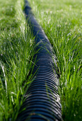 Black corrugated plastic pipe on green grass. Pipes for use in outdoor Sewerage systems. Black long...