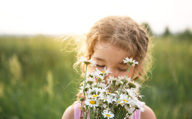 Portrait cute child girl with a bouquet of chamomile in summer on a green natural background. Happy...