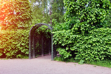 Green pergola in the city park. Small architectural forms.