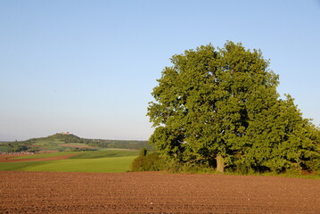 Obraz premium Felder bei Hundertmorgen; Blick zum Otzberg